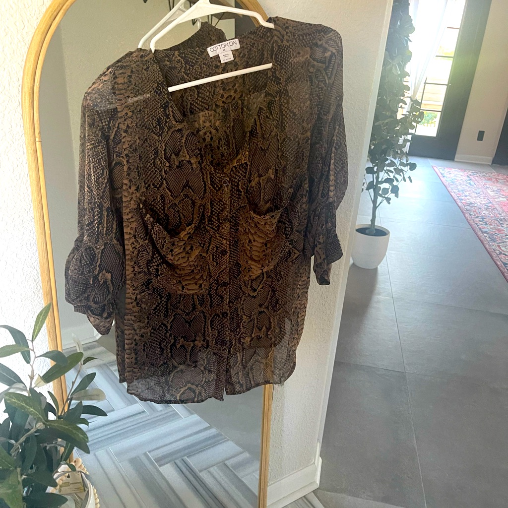 See Through Blouse Button Down